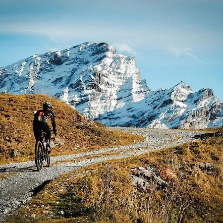 דירה Large With View *