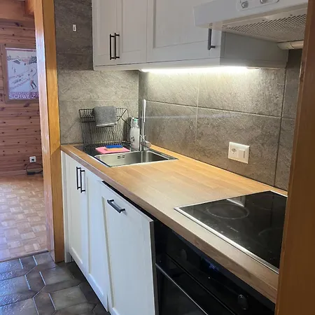 Large With View Apartment Gryon