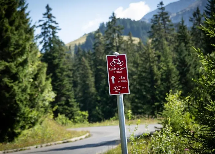 Large With View Apartament Gryon