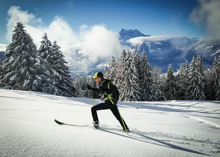 Large With View Apartament *