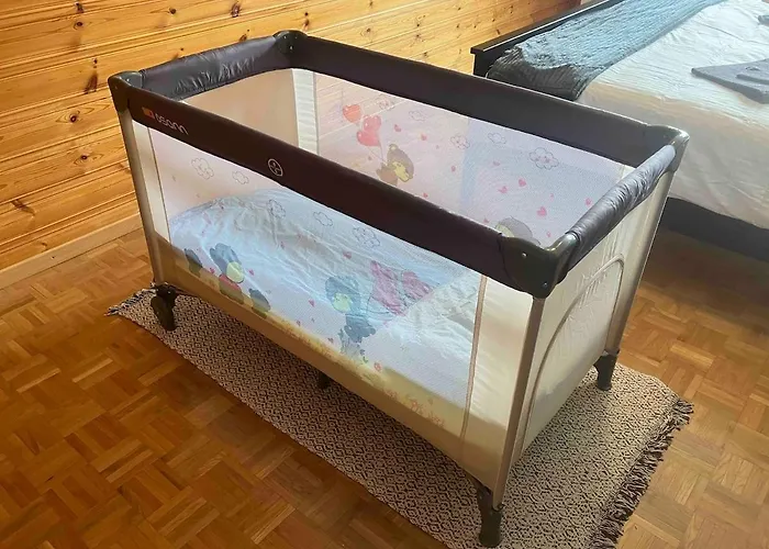 Large With View Gryon